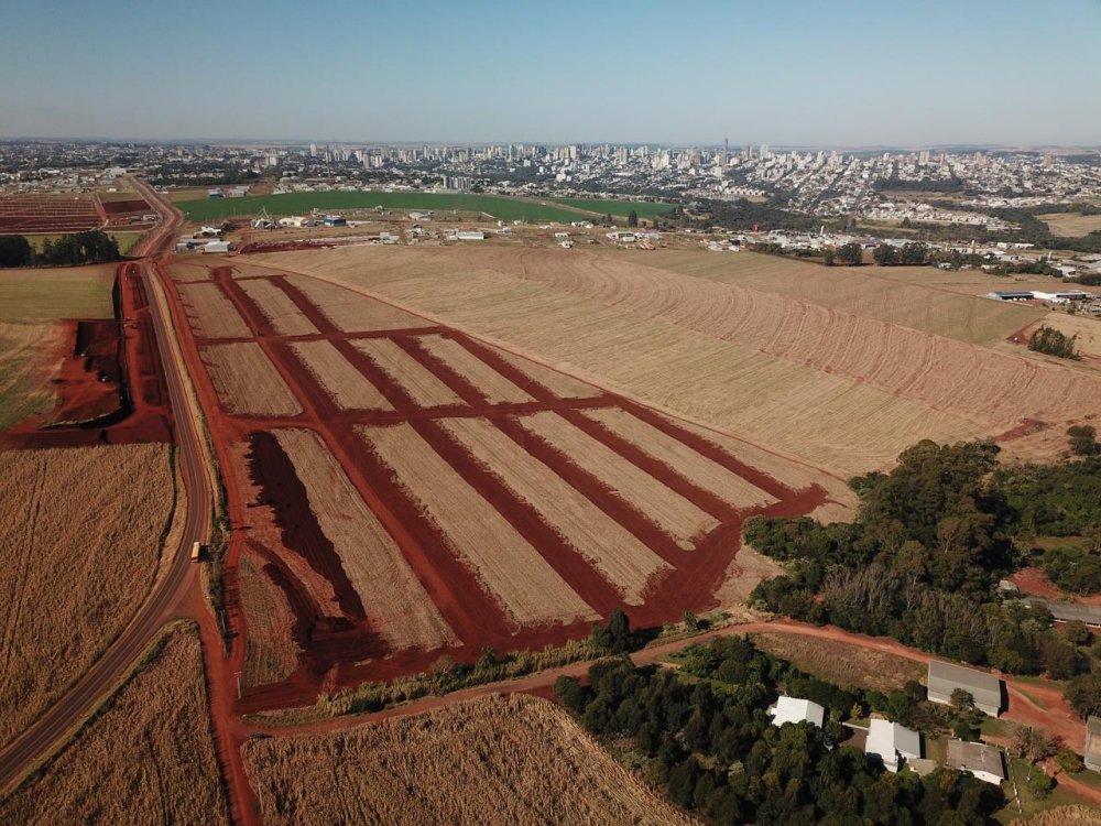 Terreno - Venda - Alta Vista - Cascavel - PR